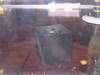 DSCN0275.JPG